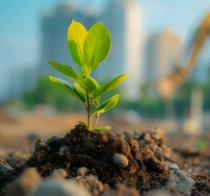 image of Plant with industrial background image of Plant with industrial background
